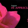 In Appreciation Rose