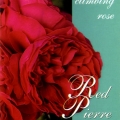 Red Pierre De Ronsard Rose